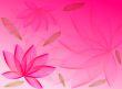 Flowers and leaves