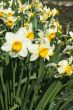 Spring again!