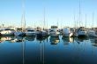 Marina Boats At Daybreak