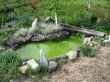 Small decorative pond