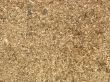 wooden texture background