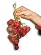 Grape cluster