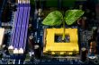Sprout in computer