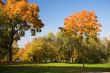 Autumnal park
