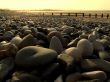  Beach pebbles