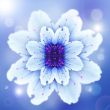 blue flower