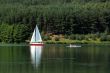 sailing on the bay