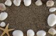 shells and stones