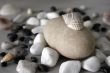 shells and stones