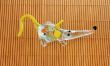 glass rat
