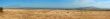 Field after the harvest