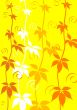 Floral Background