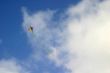 Kite 6740