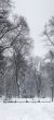 snowstorm in the park