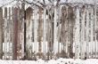 wooden fence at winter