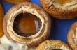 closeup of grilled mushrooms