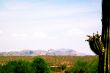 Arizona Desert Hills and Cactus