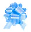 Blue bow