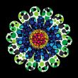 retro flower