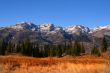 Mountain Meadow 34