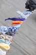 Washing and clothes-pegs