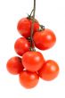 Group of tomato
