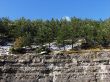 Plants and rock