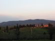 Road in tuscan