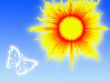 Sun in the sky