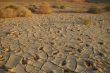 Dry soil - ecology disaster