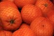 Oranges