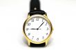 Wrist Watch