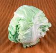 cabbage