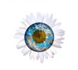 daisy globe