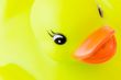 Yellow plastic duck