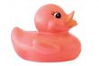 Plastic duck