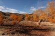 Desert Wash