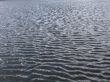 Ripples on water