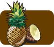  pineapple