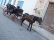 Colonial Horse Carriage