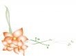  floral frame