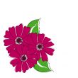 three crimson flowers