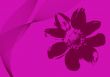 Flower Background