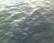 Ripples in the Sea