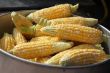 Corn on the cob