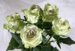 Greenish roses
