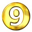 3D Golden Framed Number 9