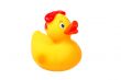 Rubber duck
