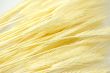 Wheat
