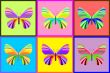butterflies